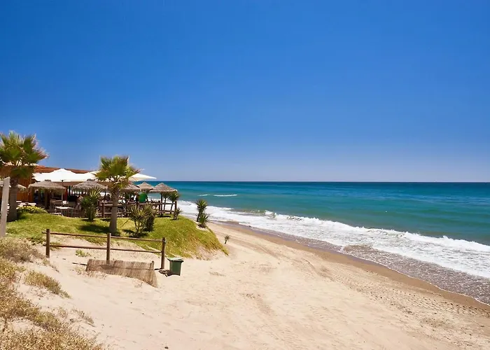 Oleholidays 615 Romana Playa Junto A La Playa